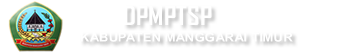 DPMPTSP